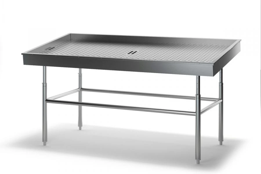 Stainless Steel Fish Display Table RNL