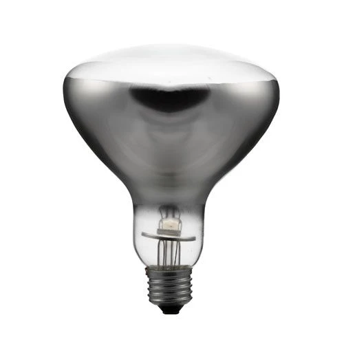 Directional Mirror Incandescent Lamp ZK 220-230-200