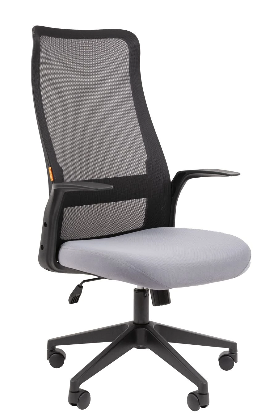 Executive Chair with Metal Frame - Chairman 573