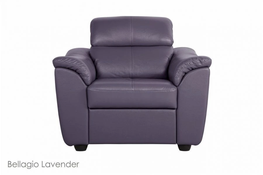 Dublin Armchair - Ergonomic Comfort Design