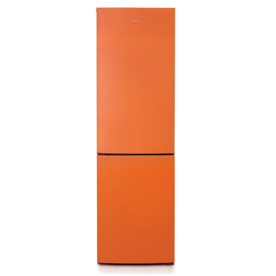 Two-Chamber Refrigerator with Freezer "Biryusa T6149