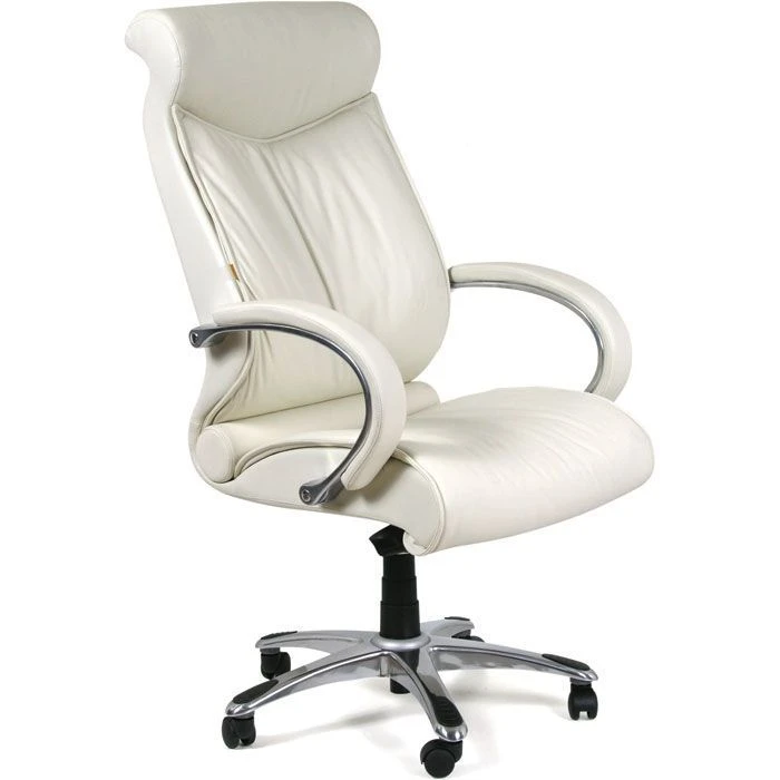 CHAIRMAN 420 Comfortable Office Chair