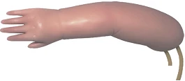 Newborn Venipuncture Model Arm PS150S / S15
