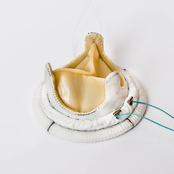 Biological Heart Valve Prosthesis "MEDINJ-BIO" TU 9444-018-27771122-2014