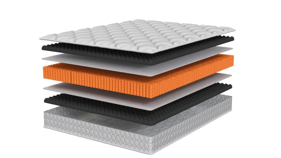 مرتبة تشريحية شتاء/صيف