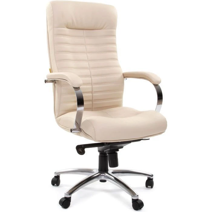 CHAIRMAN 480 Armchair - Comfortable Seating Solution