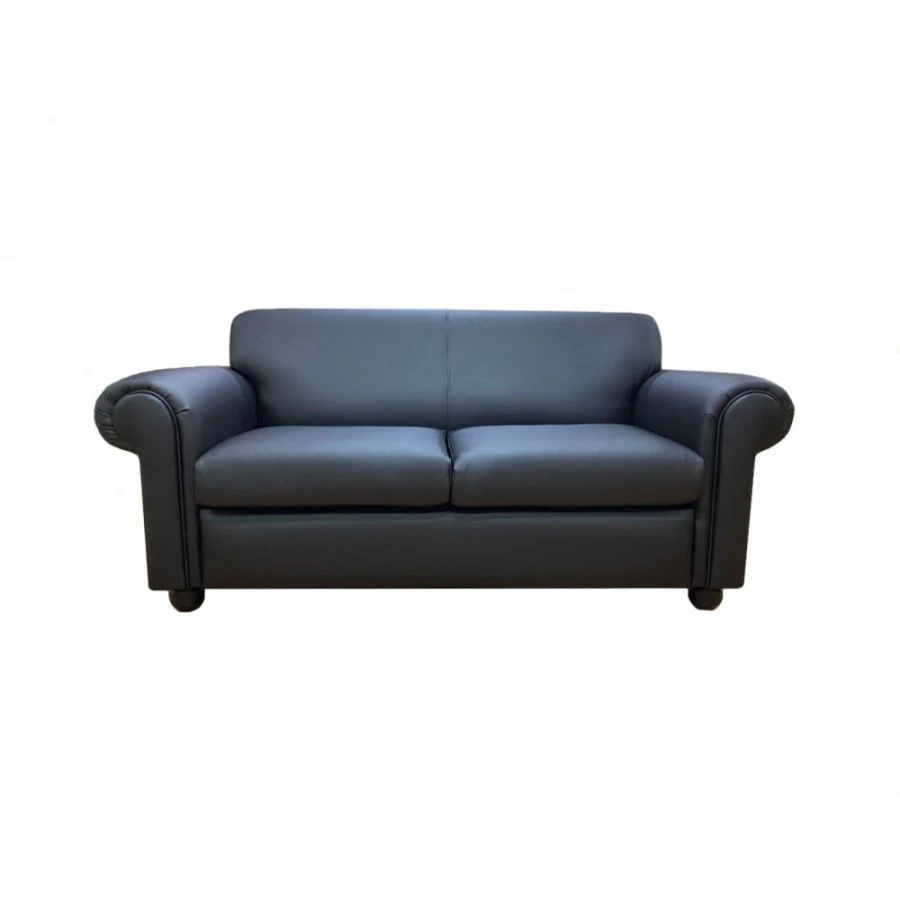 Comfortable and Elegant Becker Sofa