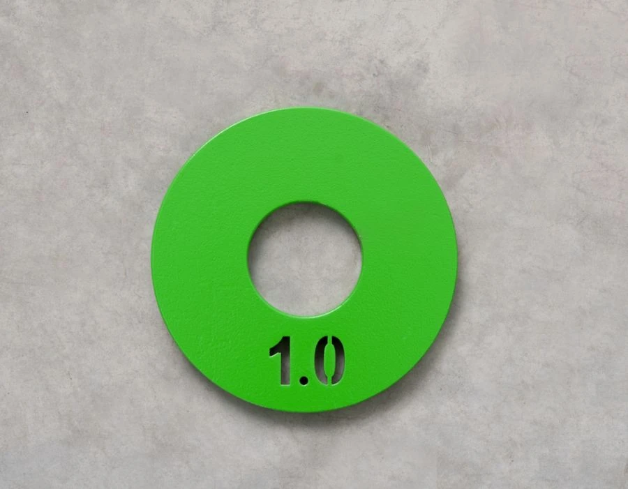 Steel Training Weight Disc 1.0 kg