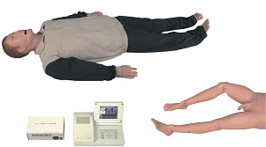 مانكن التدريب على الإنعاش القلبي الرئوي والت intubation، ALS800