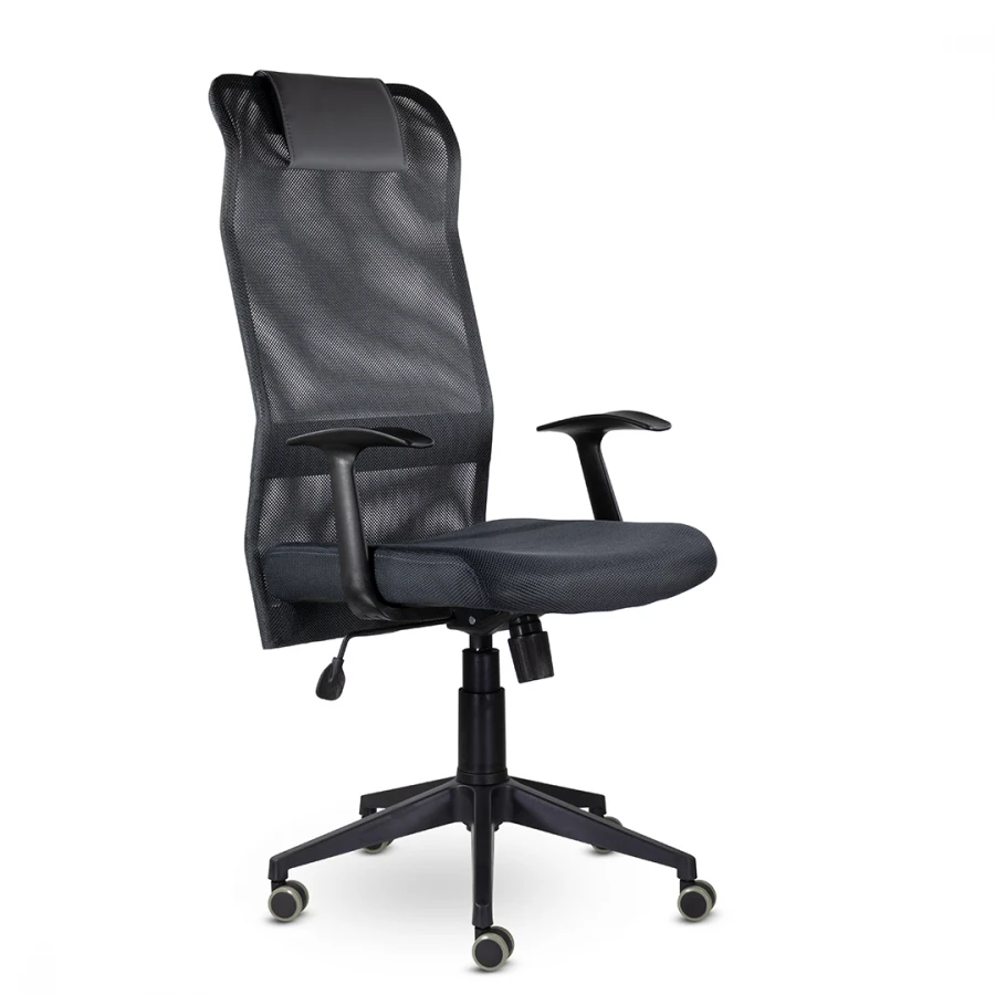 Ergonomic Office Chair Tonik for Daily Use