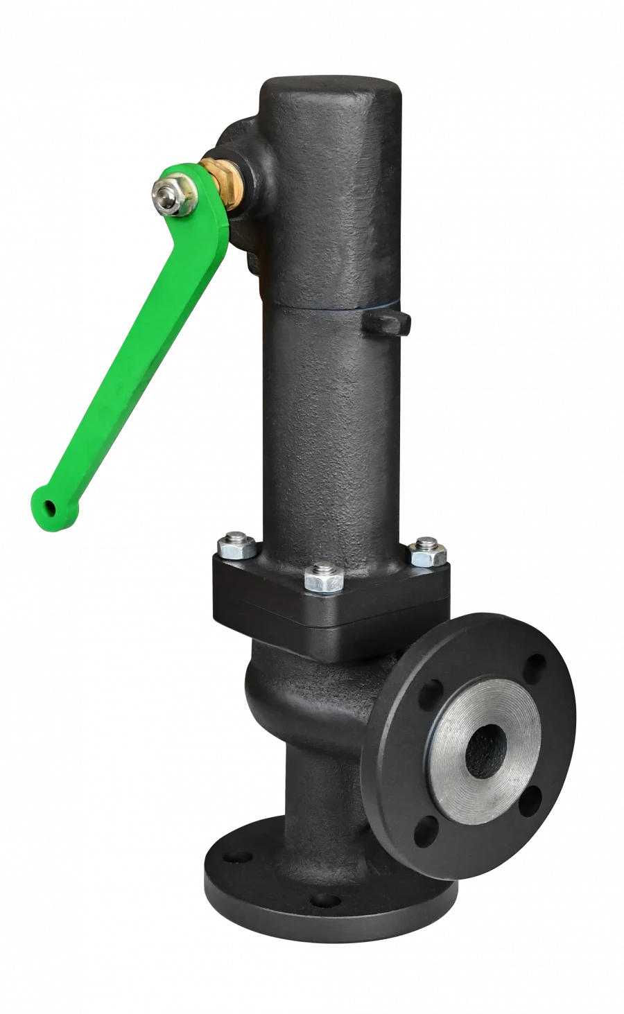 Asta Series R123 Regulating Valve - Single Seat Two-Way/ASTA-R123-CM-1-IV-015-25-220 DN 15 PN 25