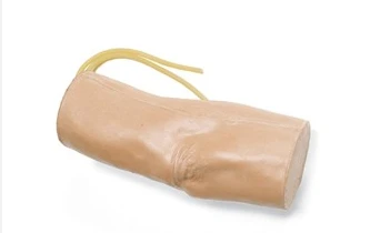 Anatomical Elbow Joint Model for IV Injections S10