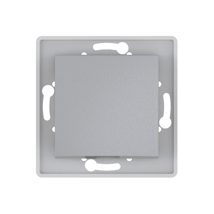 مفتاح مخفي أحادي القطب CADUCEUS ALING PRESTIGE 10AX, 250V, فضي, رقم 6007.S