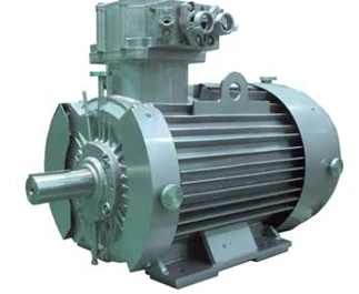 315mm Three-Phase Explosion-Proof Induction Motor Over 37.5W
