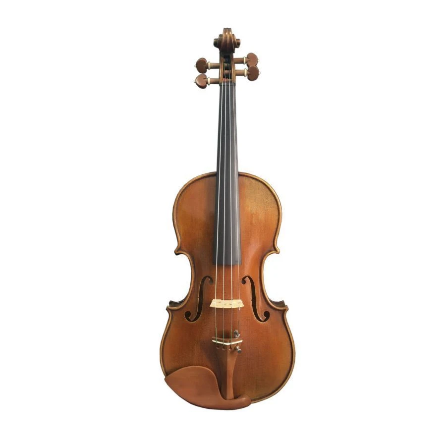 Professional Goronok Violin "Peter Andreev" 4/4