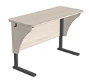 Adjustable Two-Seat Student Desk Type II Version 5
