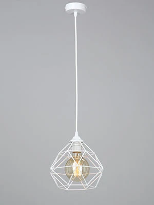 V4258-0/1S Indoor General Purpose Light Fixture