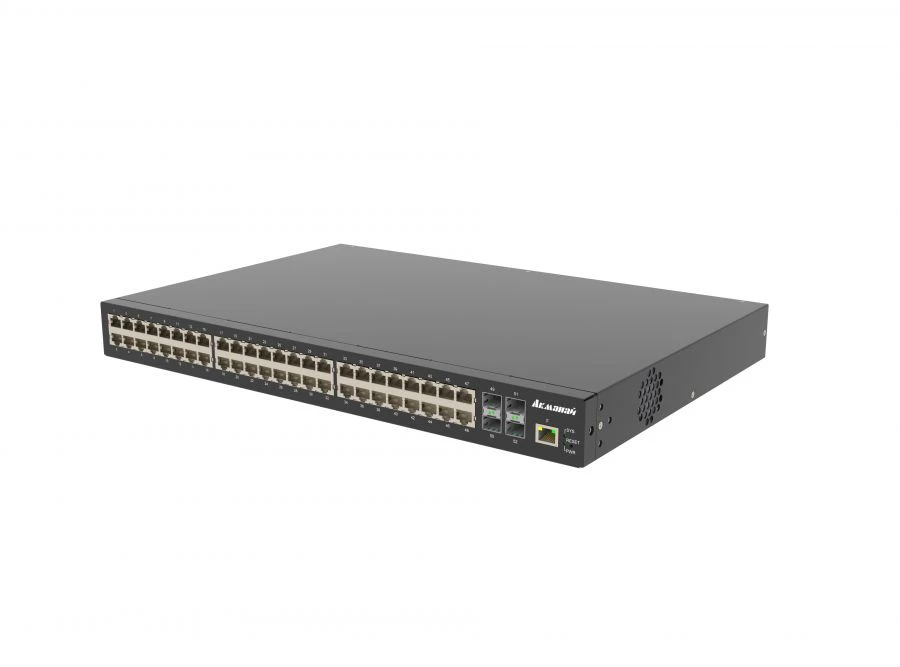 Akmanai-2448GE-S Packet Switching and Routing Equipment