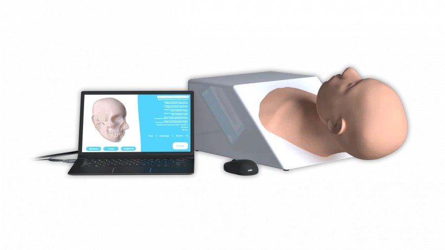 CranioPalp Virtual Simulator for Cranial Rhythm Assessment NG