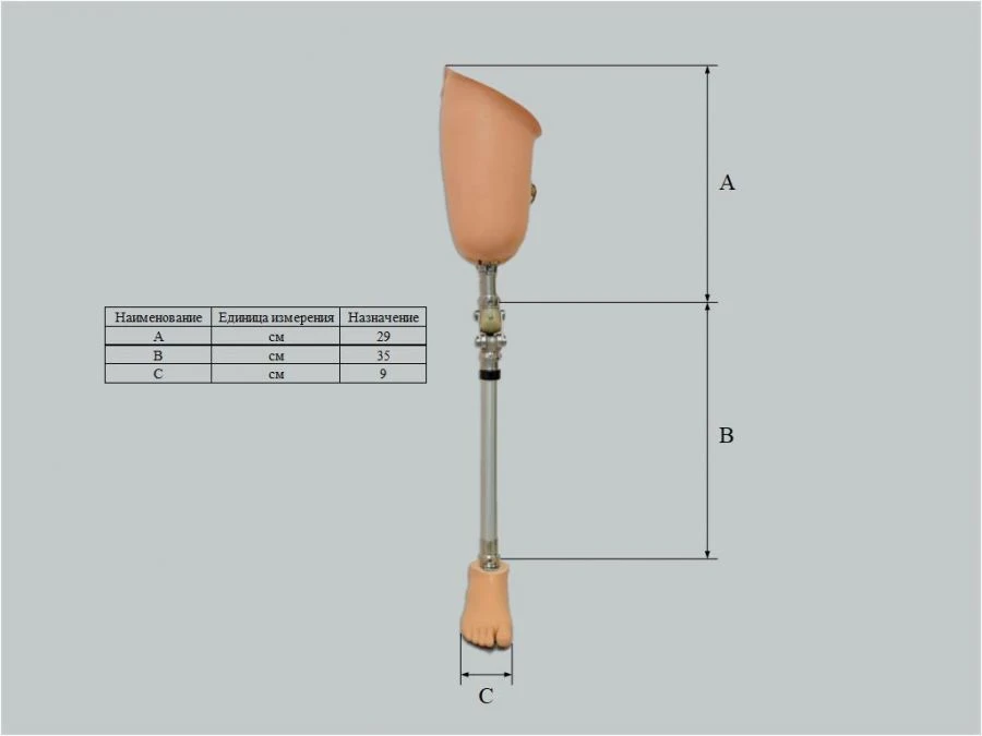 طرف صناعي عند بتر الورك غير مودولي