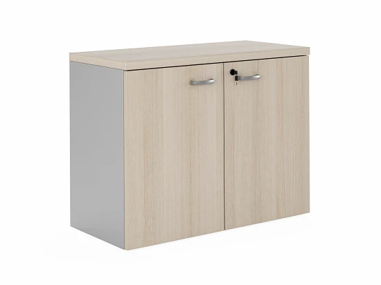 Modern Office Cabinet with Wooden Doors, Model FLS327