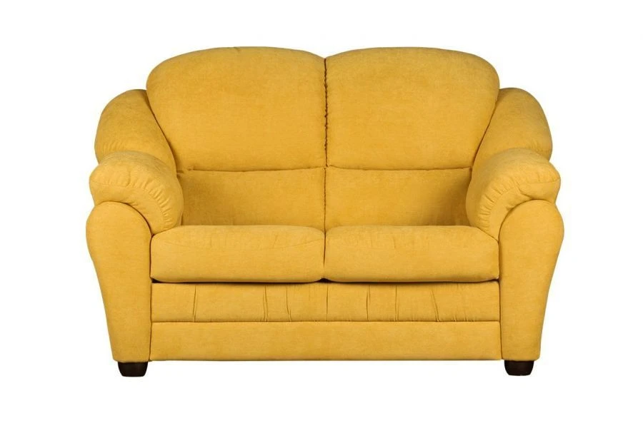 Compact Classic Sofa BERG 2-seater