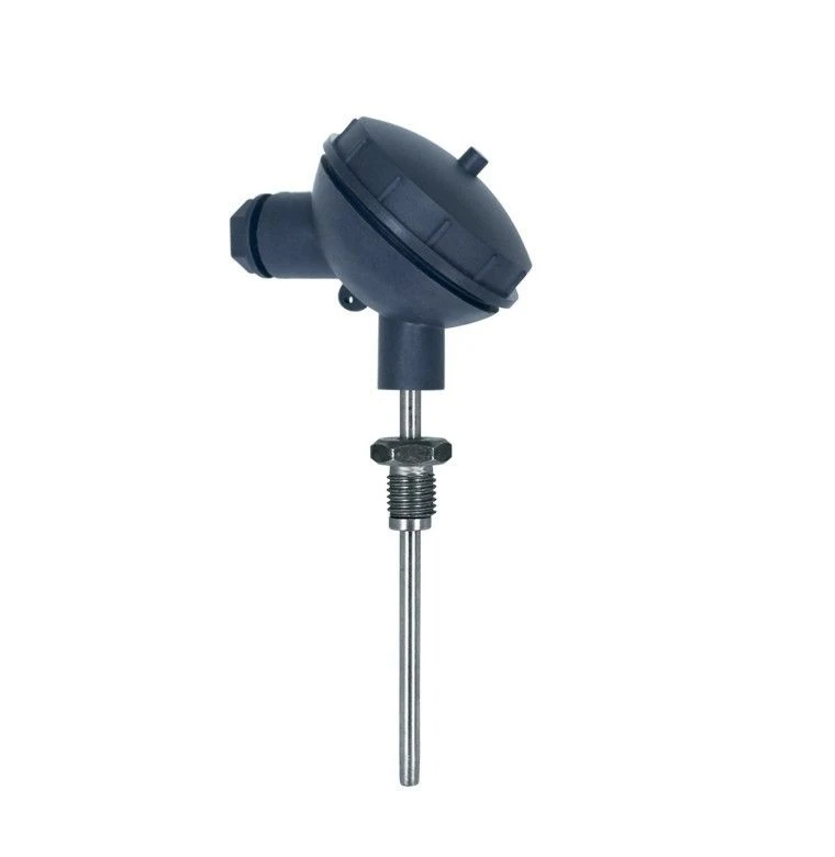 Platinum Resistance Thermometers TSPr-Kl1-2v