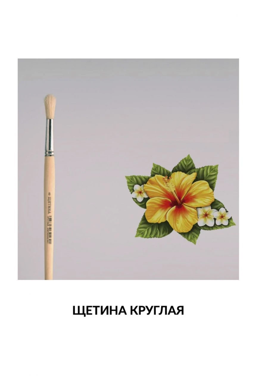 Natural Bristle Round Paint Brush for Artistic Works
