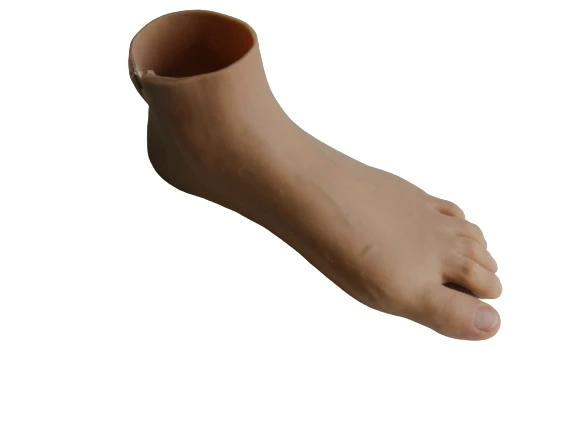 Combined Foot Prosthesis PN0-OR