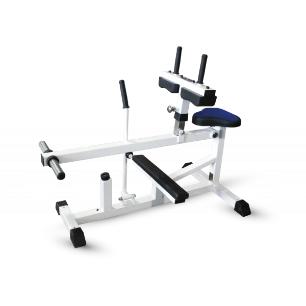Seated Calf Raise Machine with Free Weights