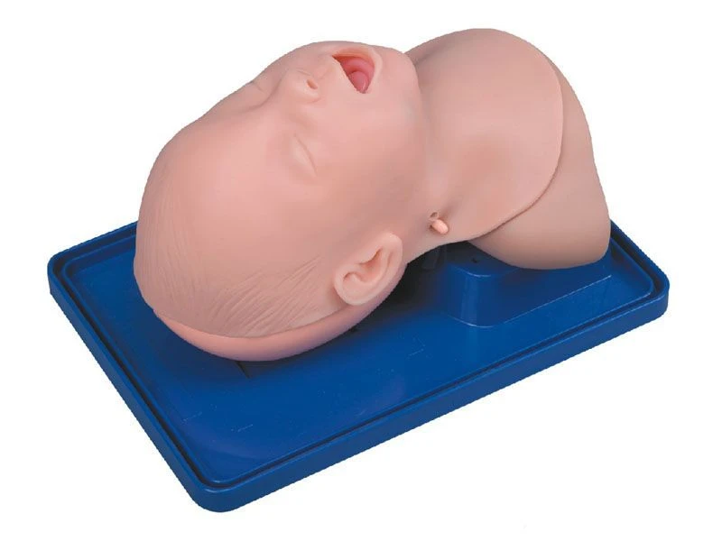 Infant Model for Tracheal Intubation, Model 3A