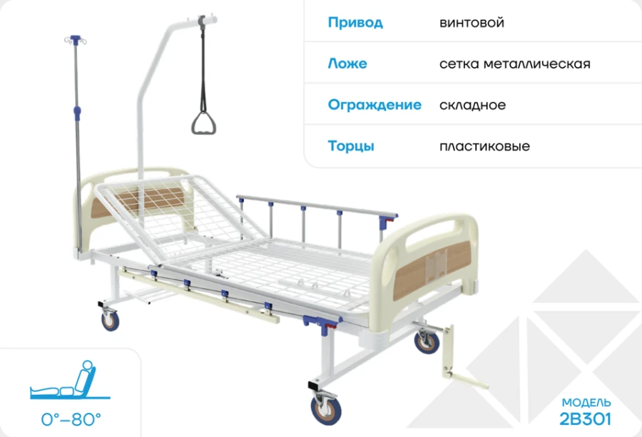 Multifunctional Medical Bed 2V301