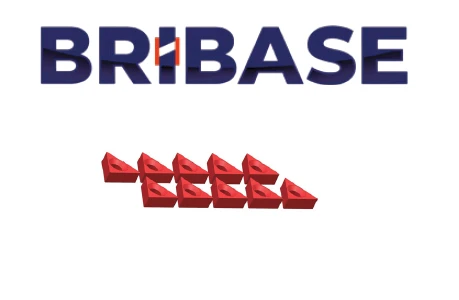 Mini Grip BriBase Set of 10 Dust Plugs BB.VS.100.60.010