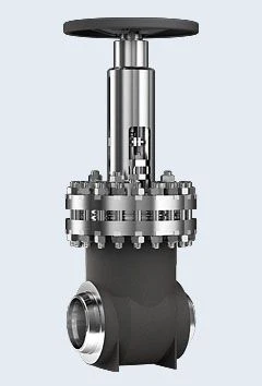 Wedge Gate Valve TD13075 DN 200 for Nuclear Plants