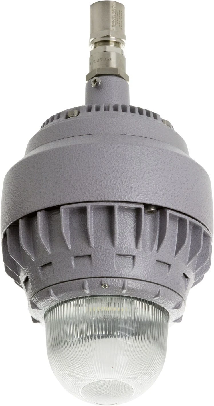 GLOBUS LED Explosion-Proof Light 25 D270 G Ex