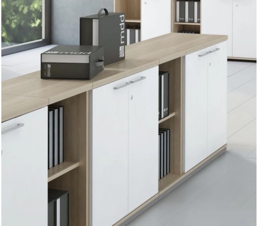 Office and Educational Two-Door Cabinet by Home Evolution