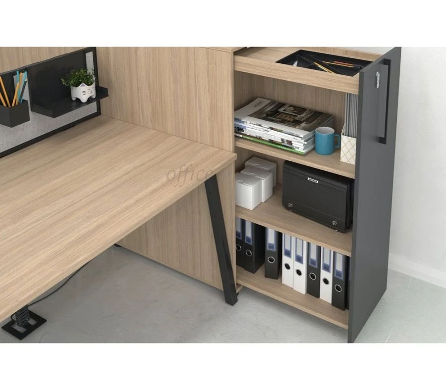 Stylish Office Cabinet for Workspaces - Home Evolution 070