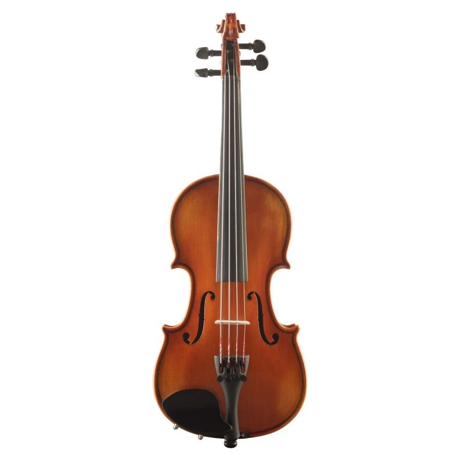 Student Violin Goronok "Caprice" 1/10