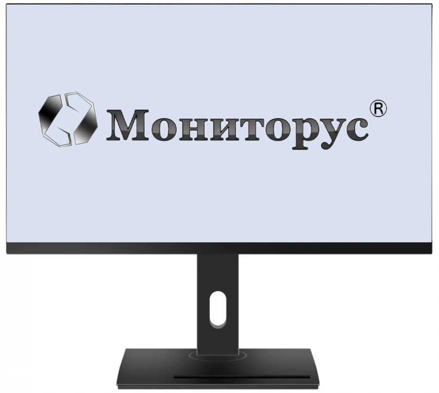 شاشة الكريستال السائل MONITORUS 2402/DVI/12DC HS2402