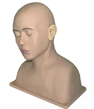 Ear and Auditory Canal Examination Model, Art. LV40