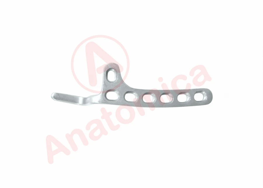 Hook Plate for Bone Fragment Fixation
