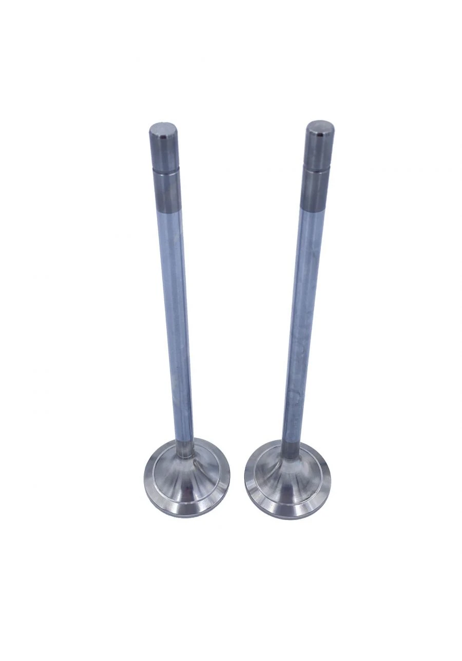 Exhaust Valve for Cummins QSV91G Engine RDG 4013770
