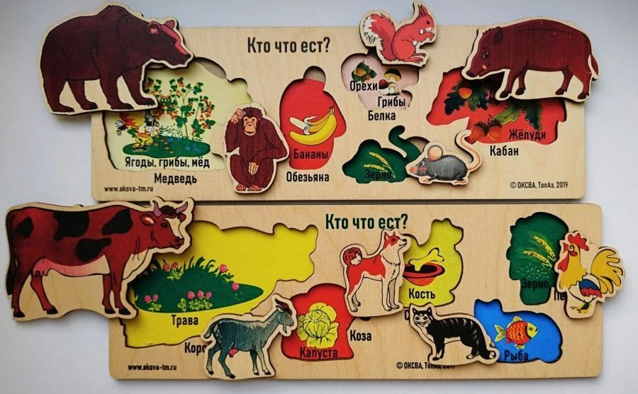 Who Eats What? Educational Game Set
