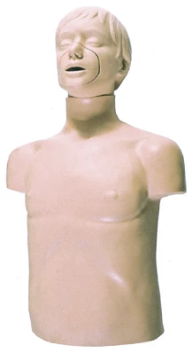 CPR Training Torso Manikin for CPR Instruction, Model CPR169/CPR1690