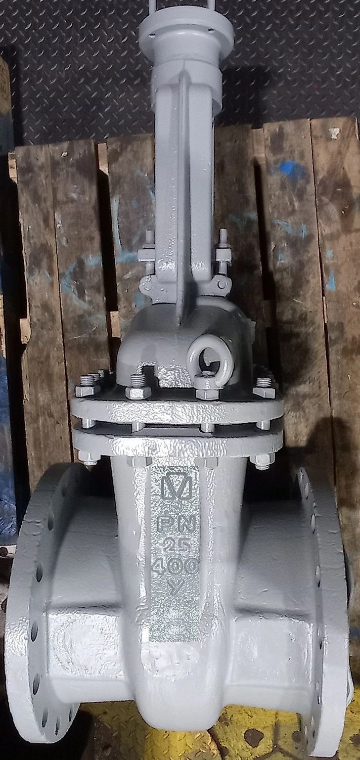 Steel Wedge Gate Valve with Extendable Spindle for PN 2.5 MPa DN 400