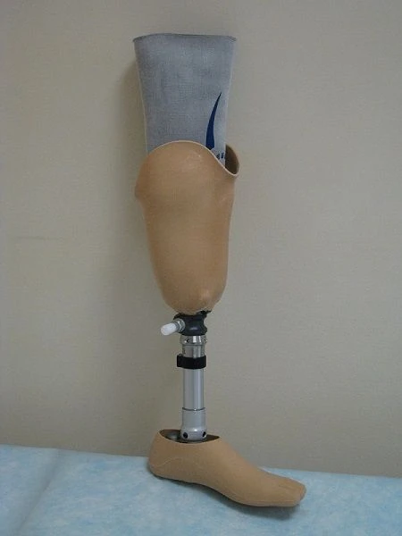 Modular Lower Leg Prosthesis for Amputees