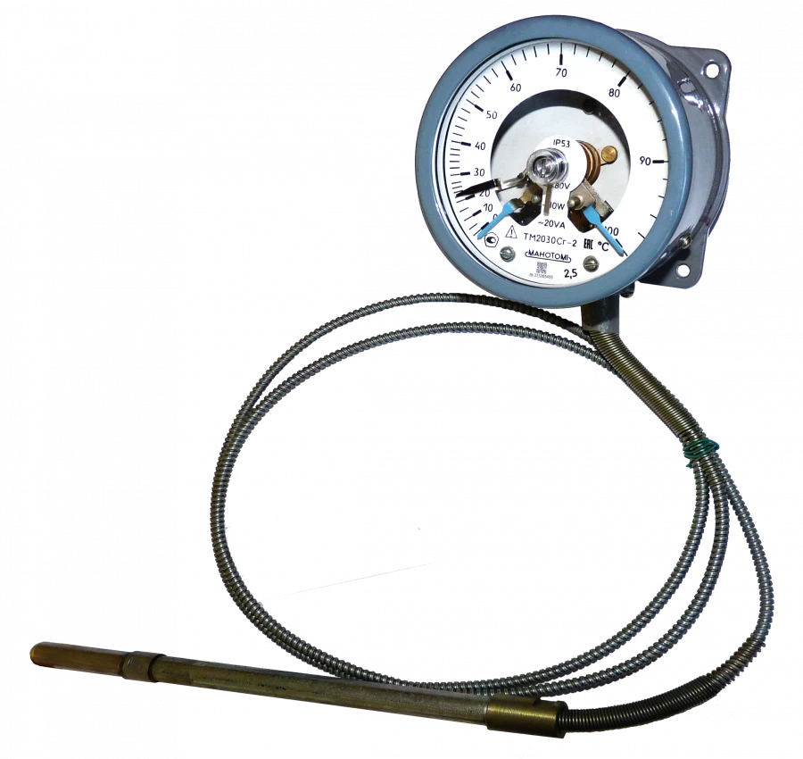 Digital Thermometers TM2030Cg for Continuous Temperature Measurement