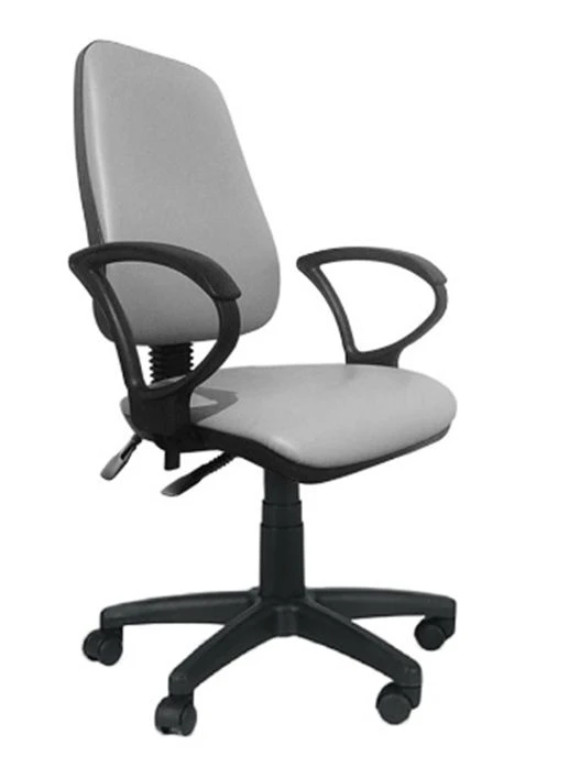 Grant Model Chair