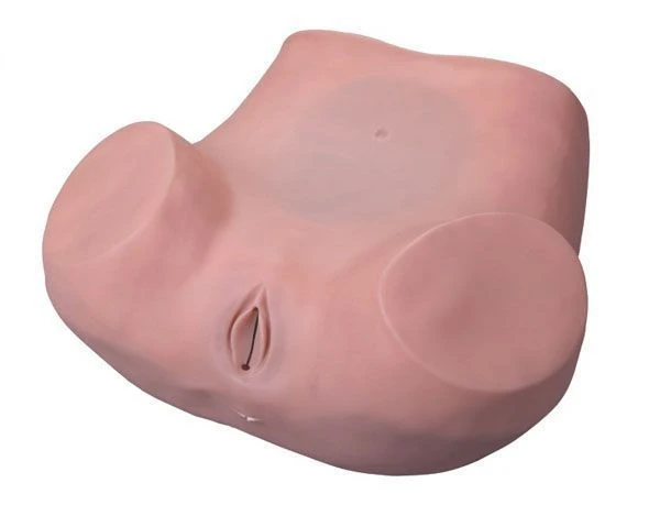 نموذج للفحص النسائي، 6