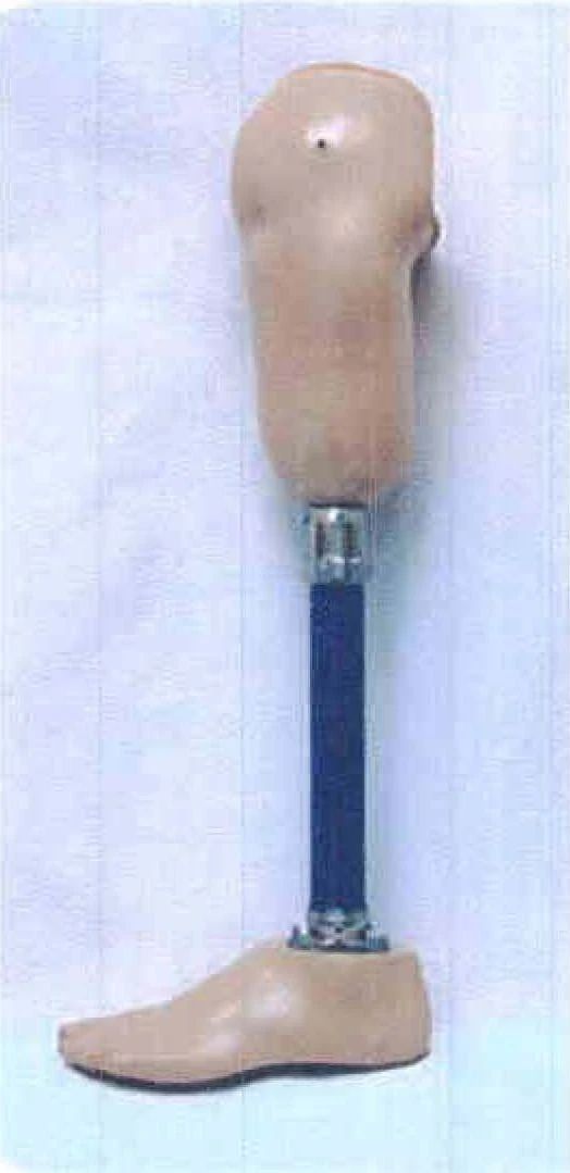 Bathing Prosthesis for Lower Leg PN3-01K-OK